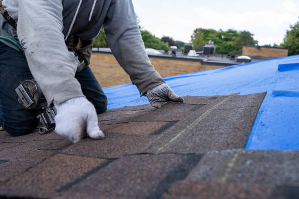 Best Roof Gutter Cleaning  in Southern View, IL