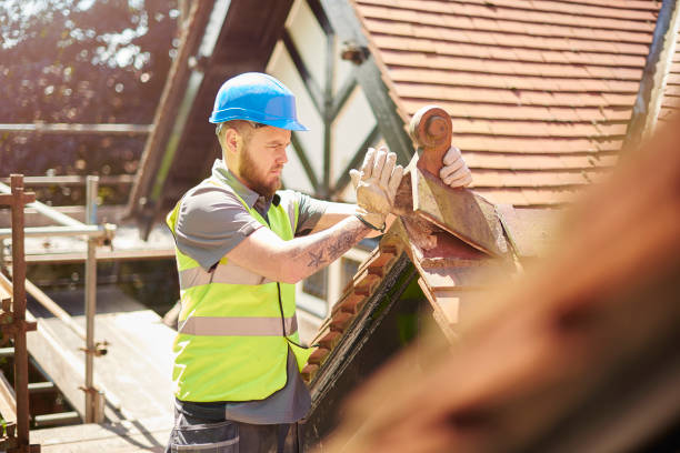 Best Flat Roof Repair Services  in Southern View, IL