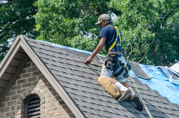 Best Residential Roofing Contractor  in Southern View, IL